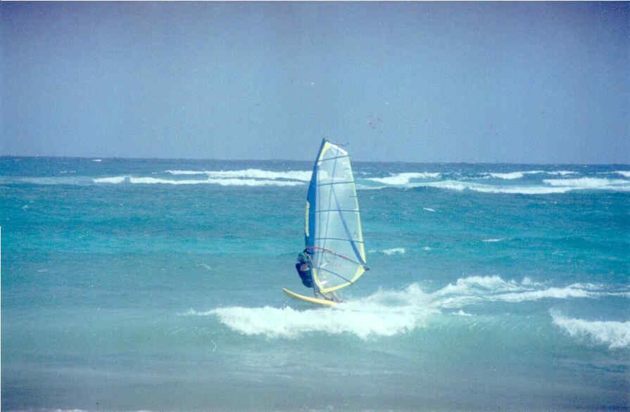 Ocean Bliss Apartments كرايست تشيرش المظهر الخارجي الصورة