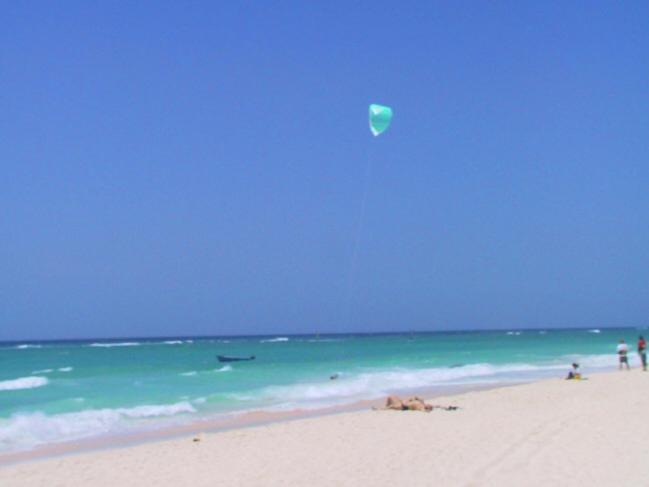Ocean Bliss Apartments كرايست تشيرش المظهر الخارجي الصورة