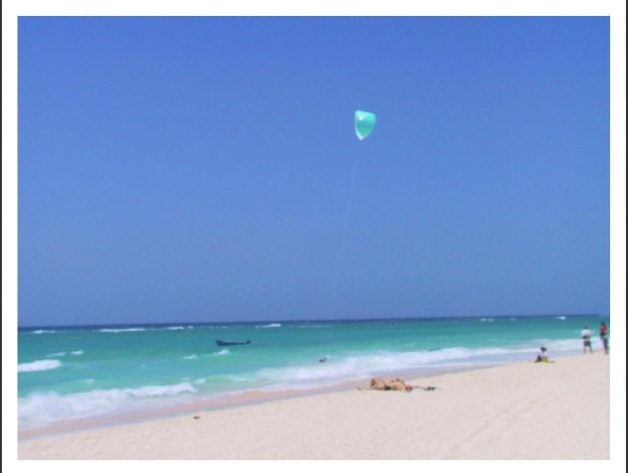 Ocean Bliss Apartments كرايست تشيرش المظهر الخارجي الصورة